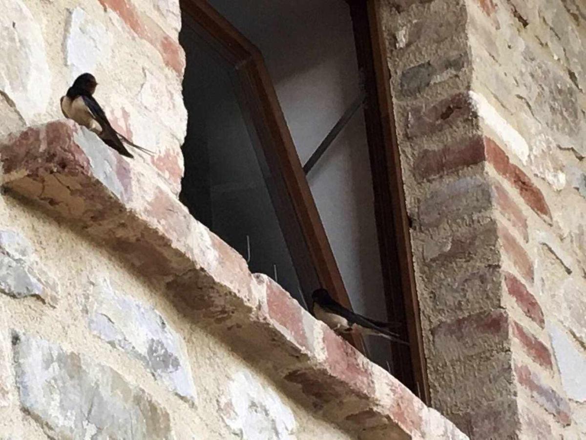 San Venanzo - Casale De Conti Villa Ngoại thất bức ảnh